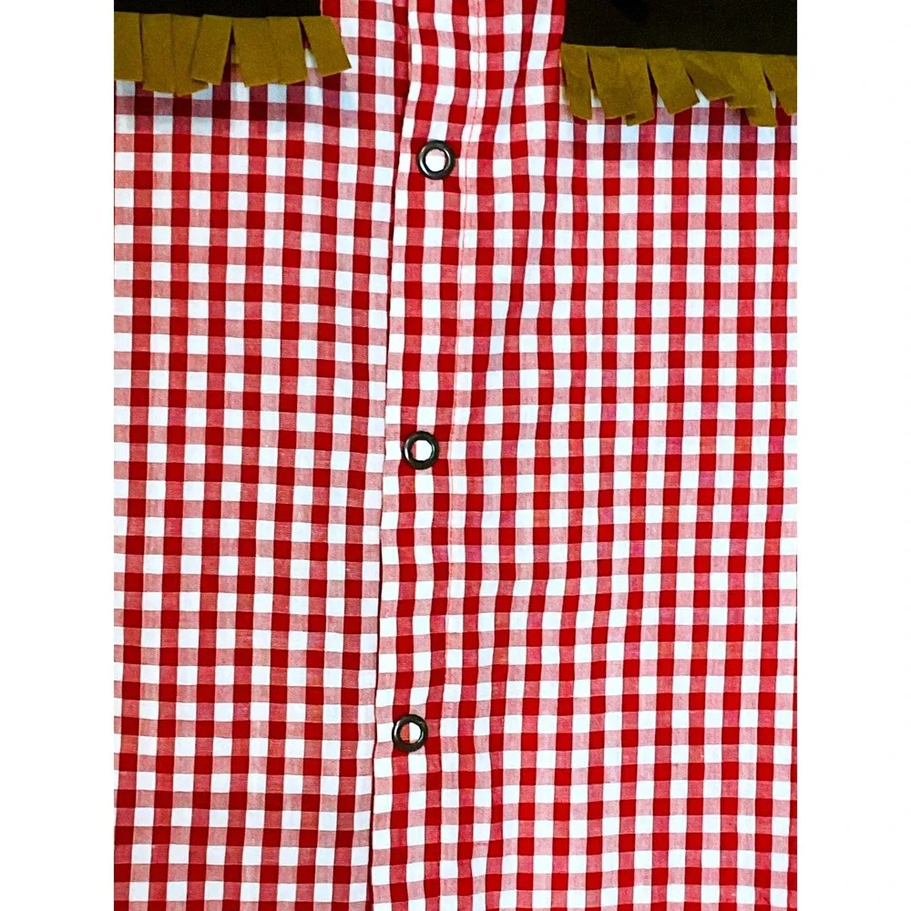 Gymboree cowboy gingham western shirt fringed Halloween costume boys girls 10 12